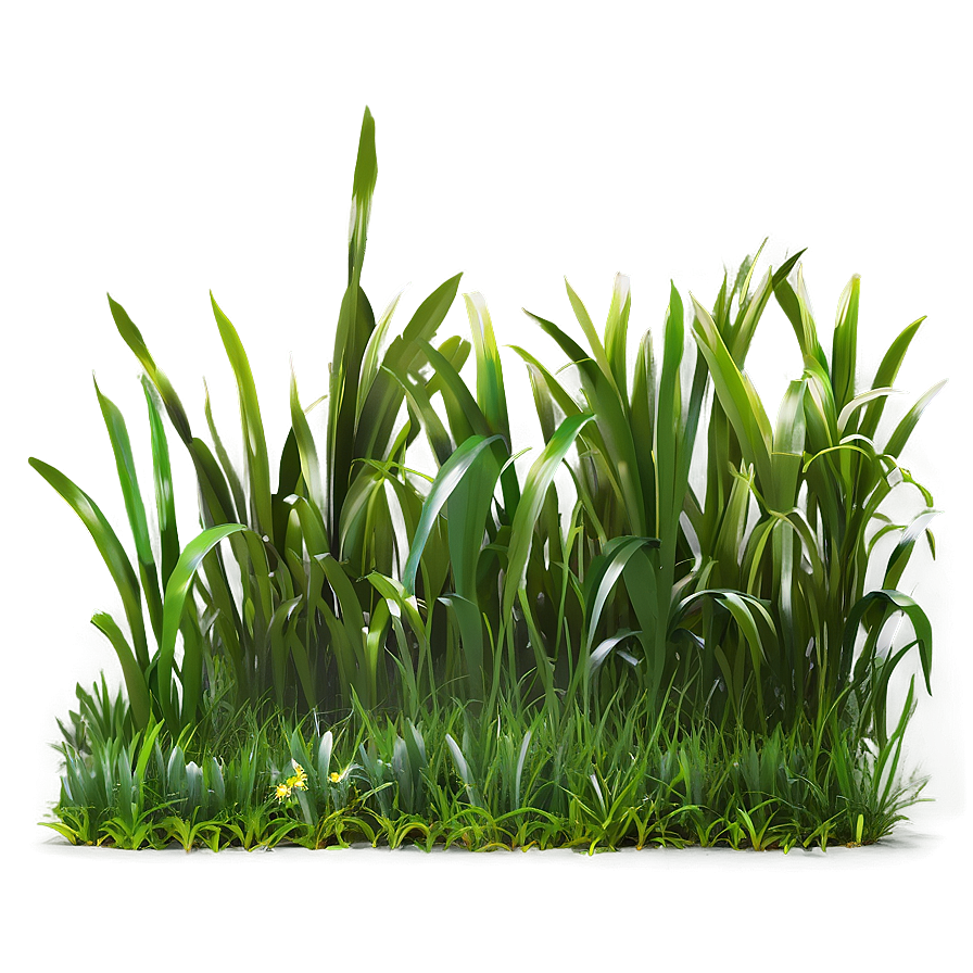 Green Grass Patch Png 44 PNG image