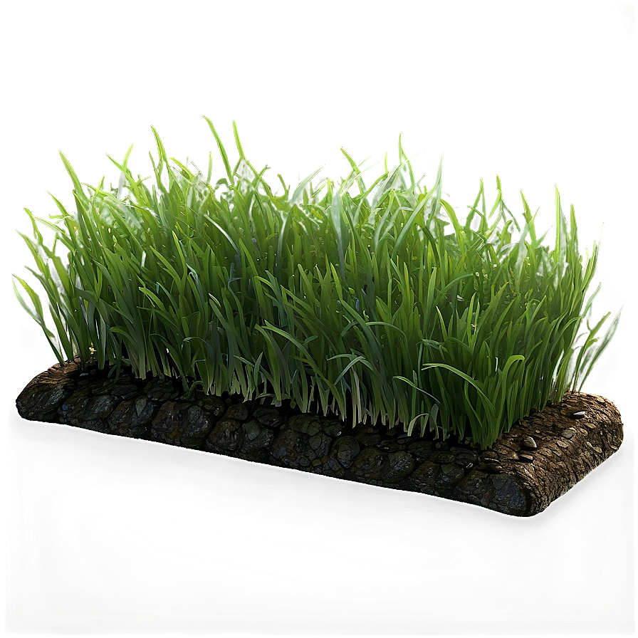 Green Grass Patch Png 90 PNG image