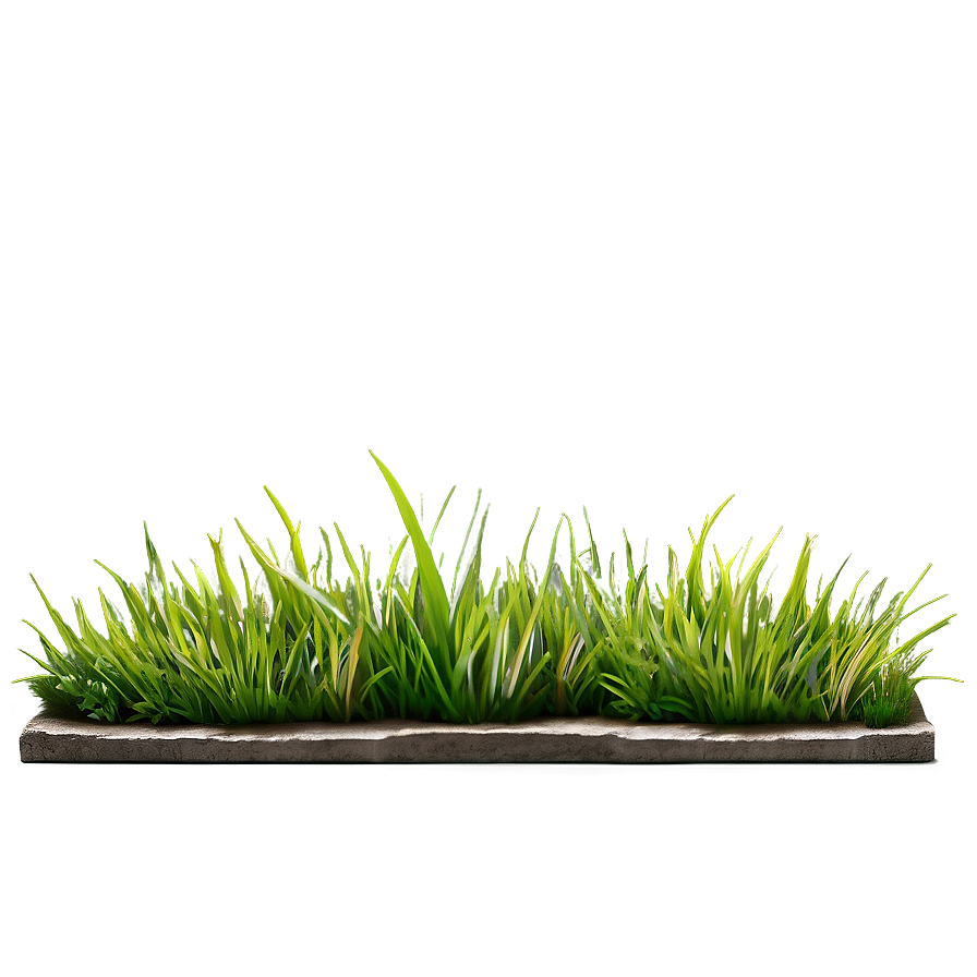 Green Grass Sidewalk Png Xyn PNG image