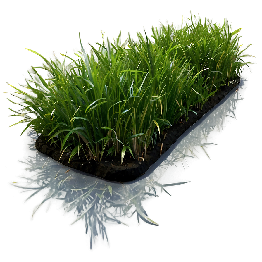 Green Grass Underfoot Png 65 PNG image