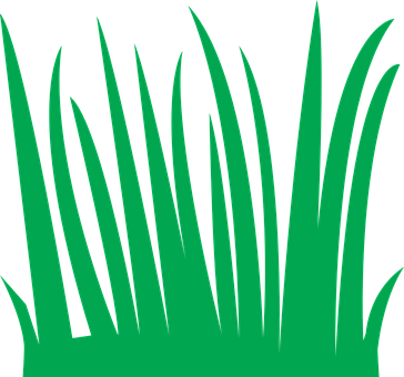 Green Grass Vector Illustration PNG image