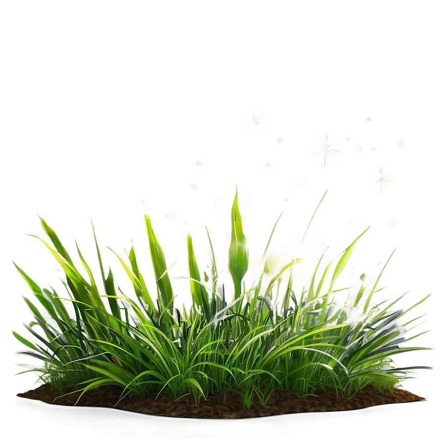 Green Grass With Sun Rays Png 06262024 PNG image