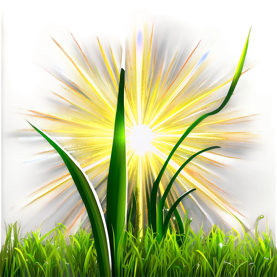 Green Grass With Sun Rays Png Qmi85 PNG image