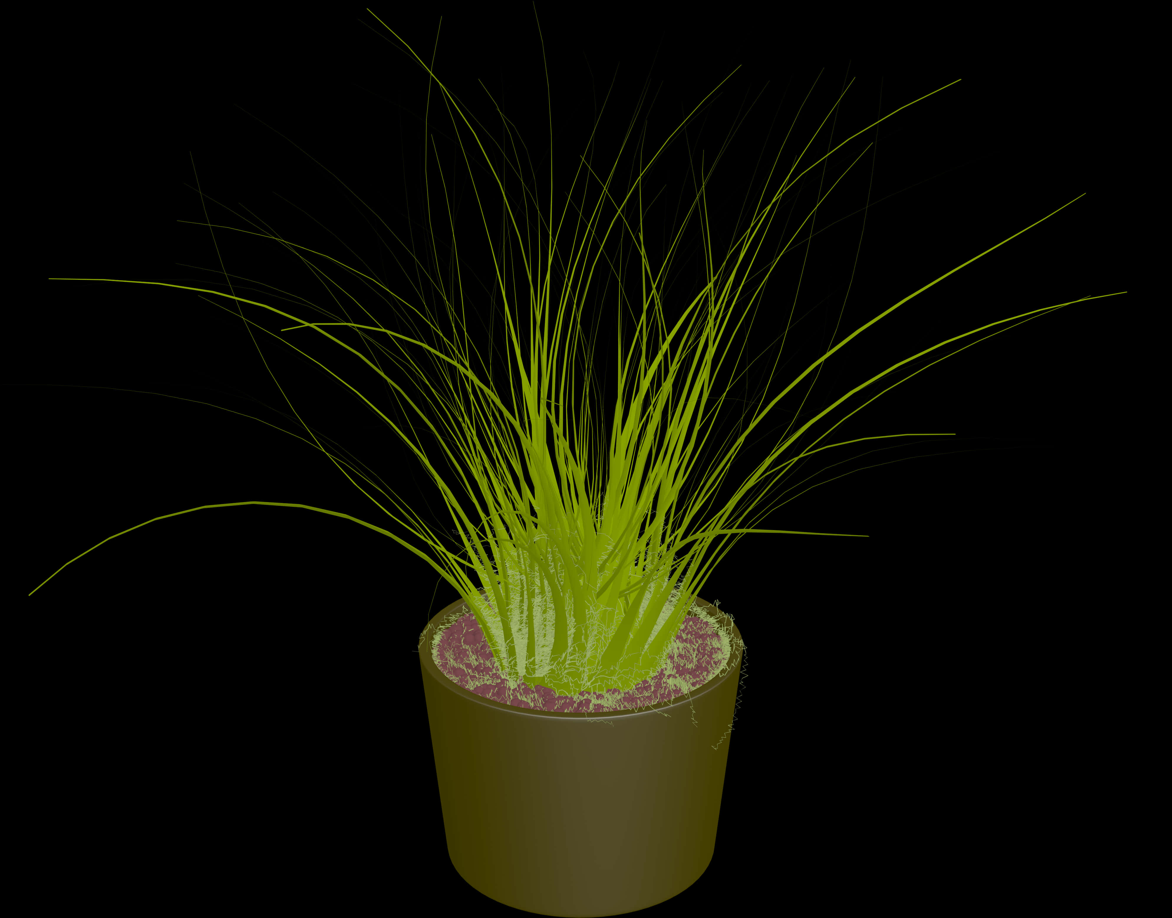 Green Grassin Flower Poton Black Background PNG image