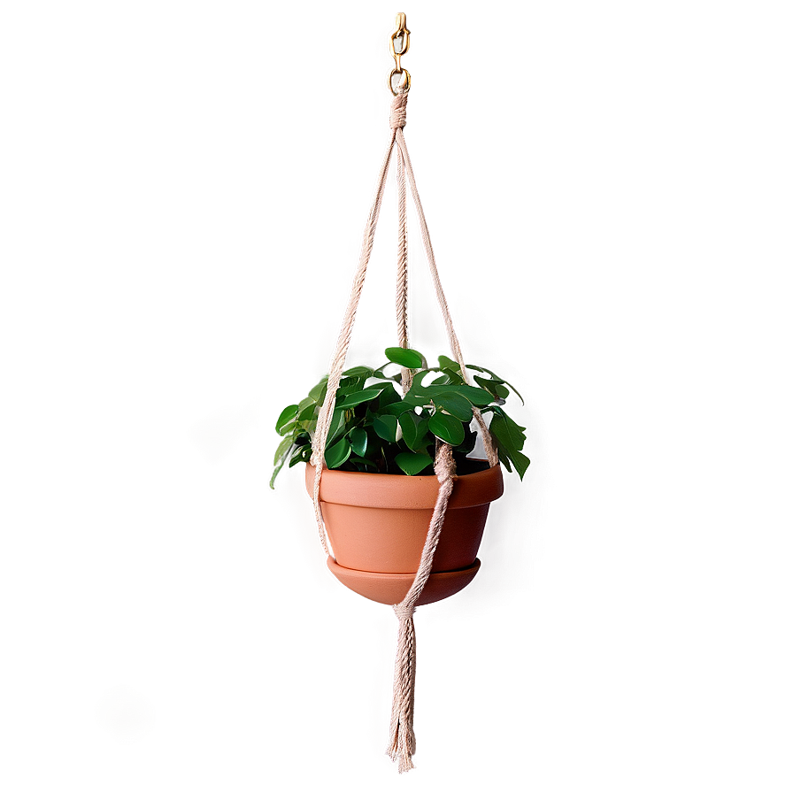 Green Hanging Plant Png Jqm45 PNG image