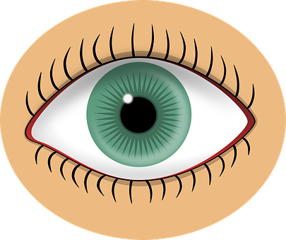 Green Human Eye Illustration PNG image