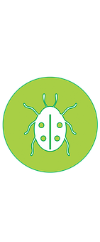 Green Ladybug Icon PNG image