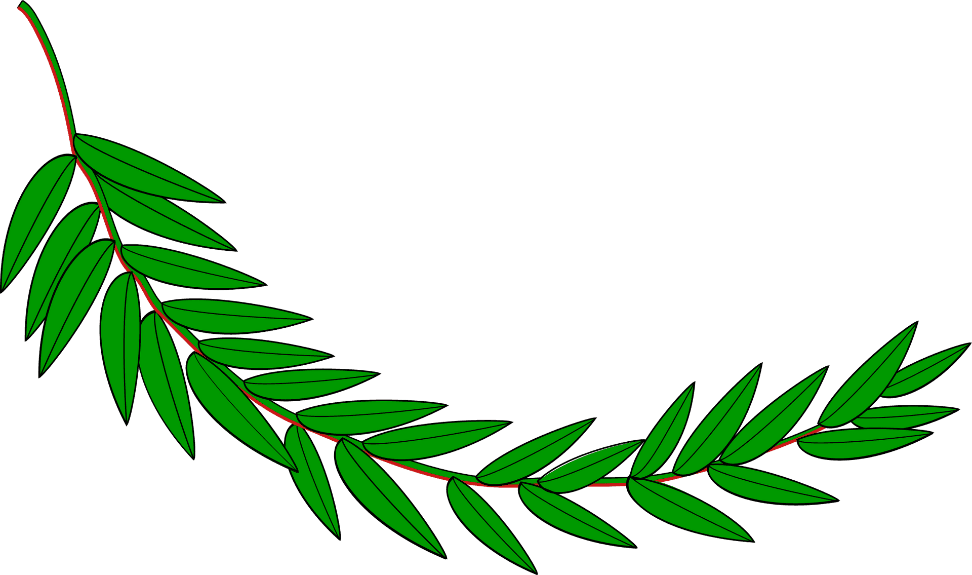 Green Laurel Branch Illustration PNG image