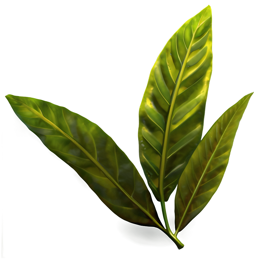 Green Laurel Leaves Png 06262024 PNG image