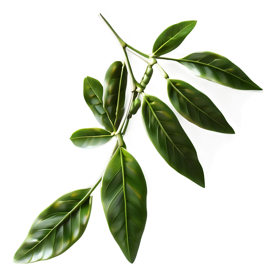 Green Laurel Leaves Png 06262024 PNG image