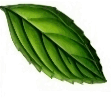 Green Leaf Artistic Representation PNG image