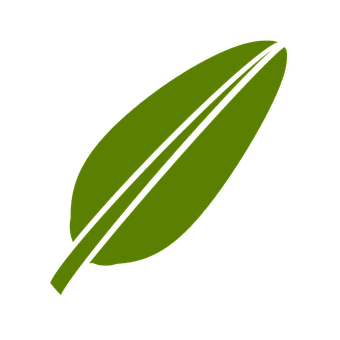 Green Leaf Black Background PNG image