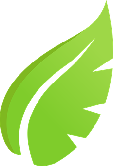 Green Leaf Graphic PNG image