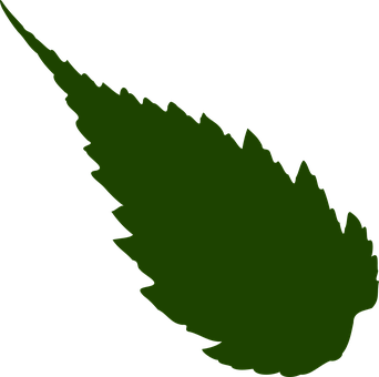Green Leaf Silhouette PNG image