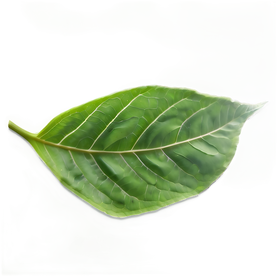 Green Leaf Texture Png 28 PNG image