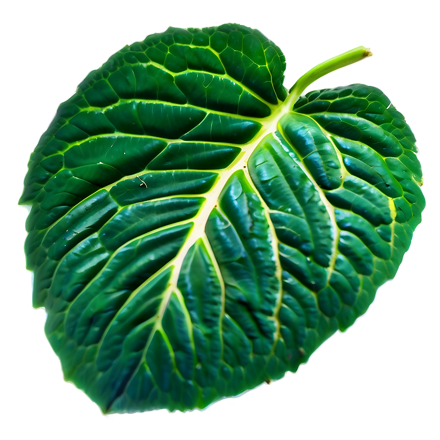 Green Leaf Texture Png Nqg PNG image