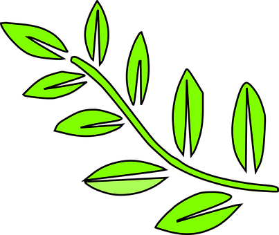 Green Leaf Vector Art PNG image