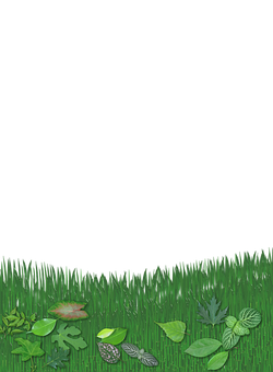 Green Leafy Border Design PNG image