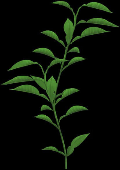 Green Leafy Branch Black Background PNG image