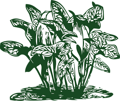 Green Leafy Plant Illustration PNG image