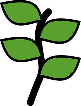 Green Leaves Icon PNG image