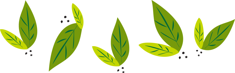 Green Leaves Vector Illustration PNG image
