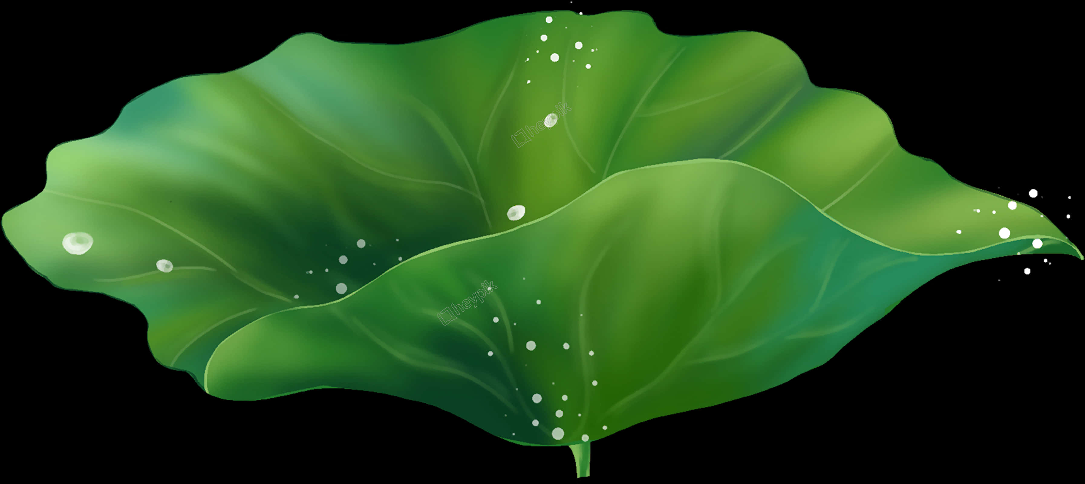 Green Lotus Leafwith Dew Drops PNG image