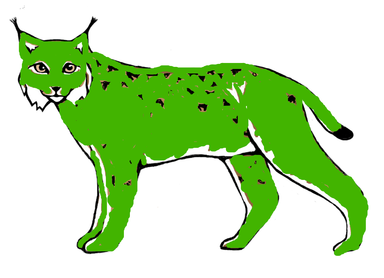 Green Lynx Illustration PNG image