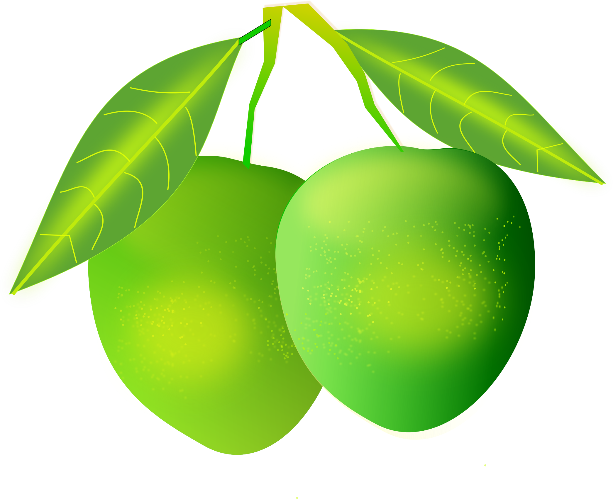 Green Mangoes With Leaves PNG image