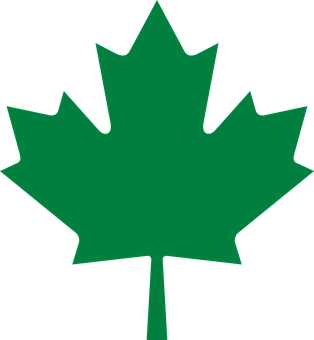 Green Maple Leaf Graphic PNG image