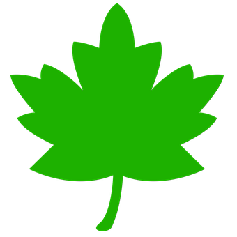 Green Maple Leaf Icon PNG image