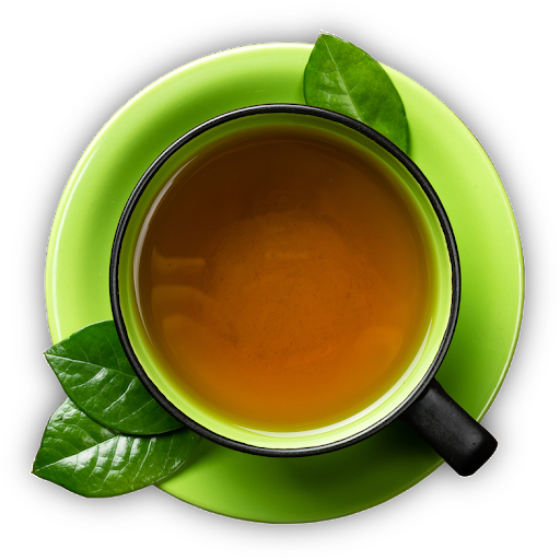 Green Mint Tea Cup Top View PNG image