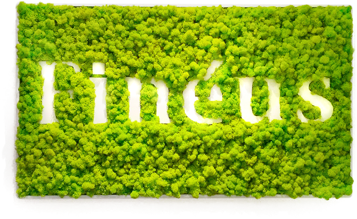 Green Moss Wall Art Fintus Logo PNG image