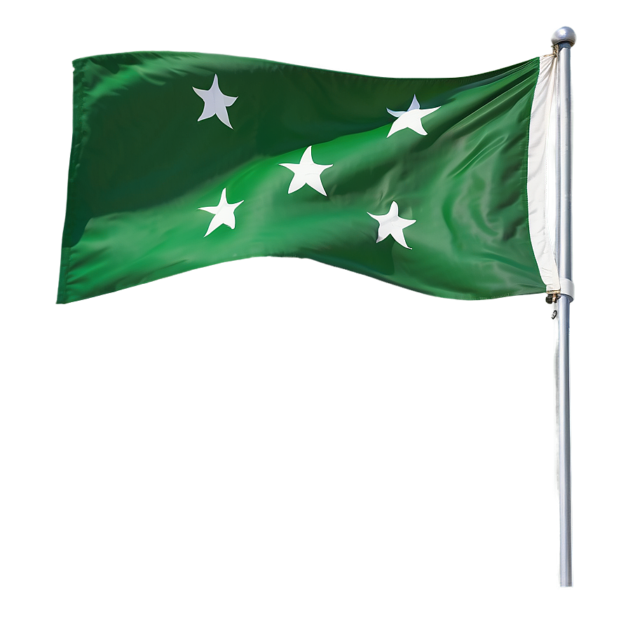 Green Movement Flag Png 06282024 PNG image