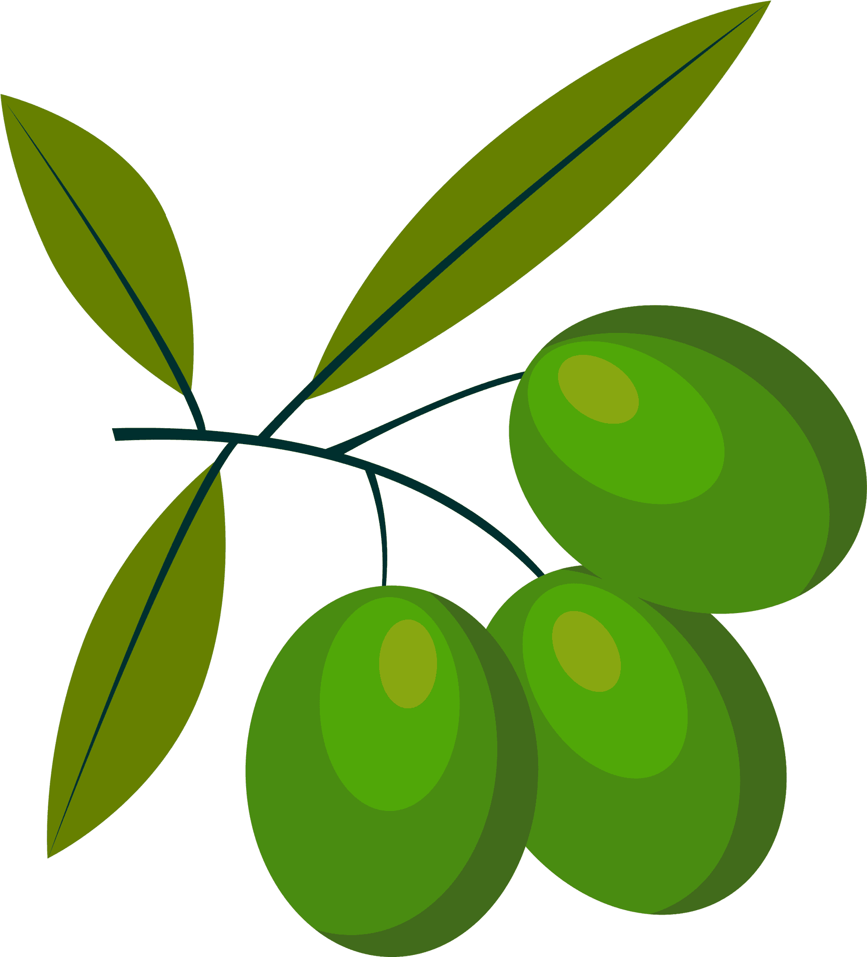 Green Olives Branch Vector PNG image