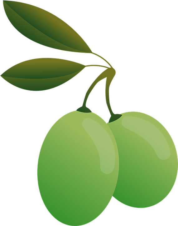 Green Olives Illustration PNG image