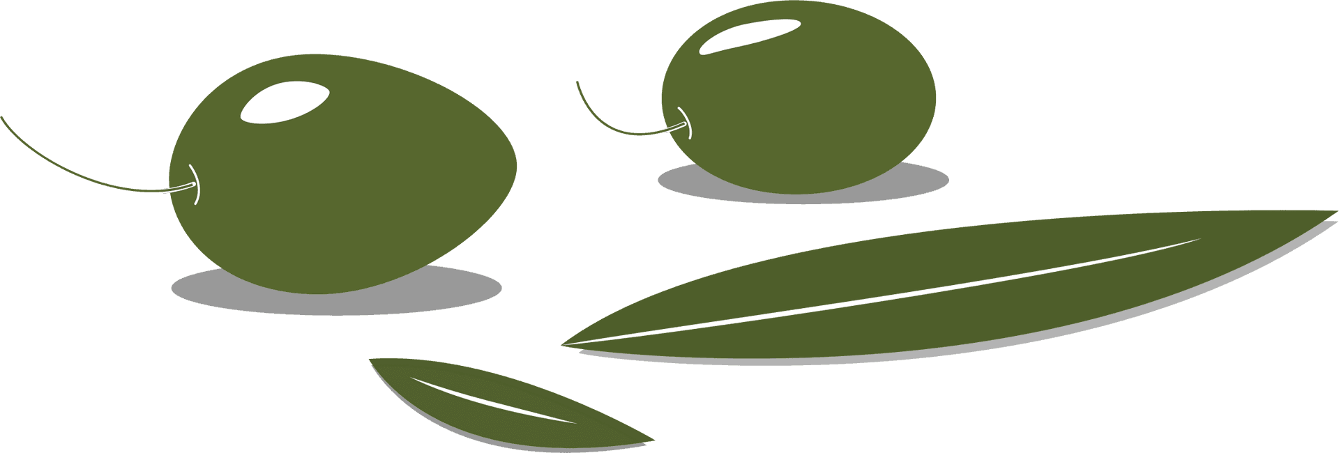 Green Olivesand Leaves Vector PNG image