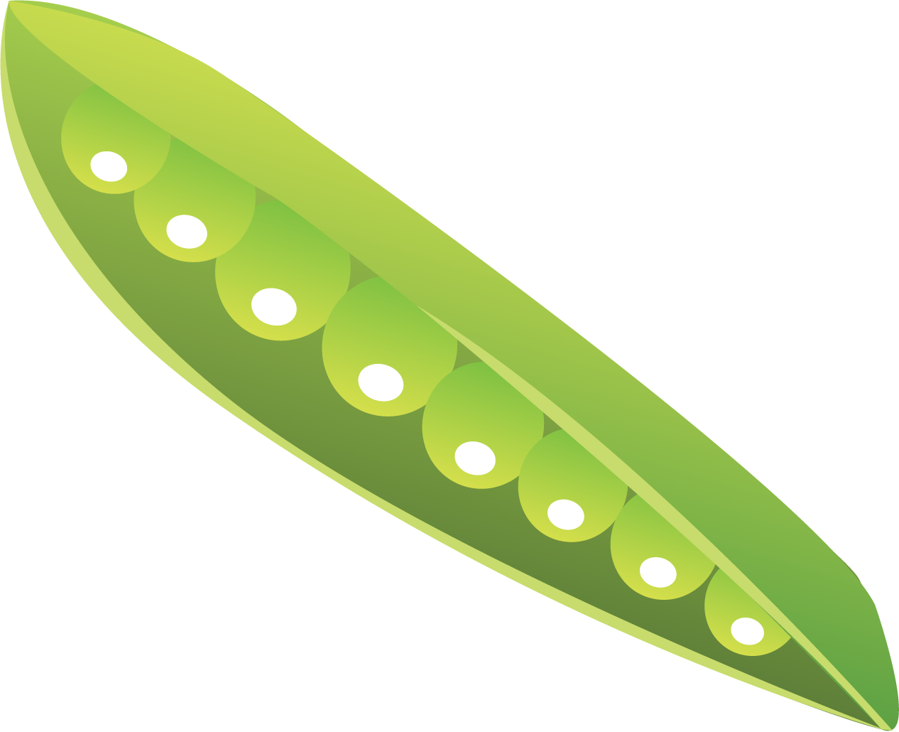 Green Pea Pod Illustration PNG image