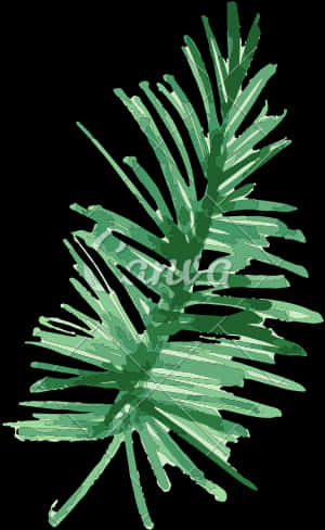 Green Pine Branches Illustration PNG image