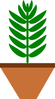 Green Plantin Brown Pot Vector PNG image