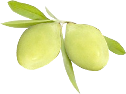 Green Plums With Leaves PNG image