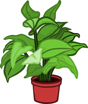 Green Potted Plant Illustration PNG image