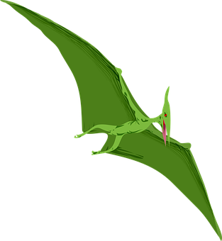 Green Pterosaur Illustration PNG image
