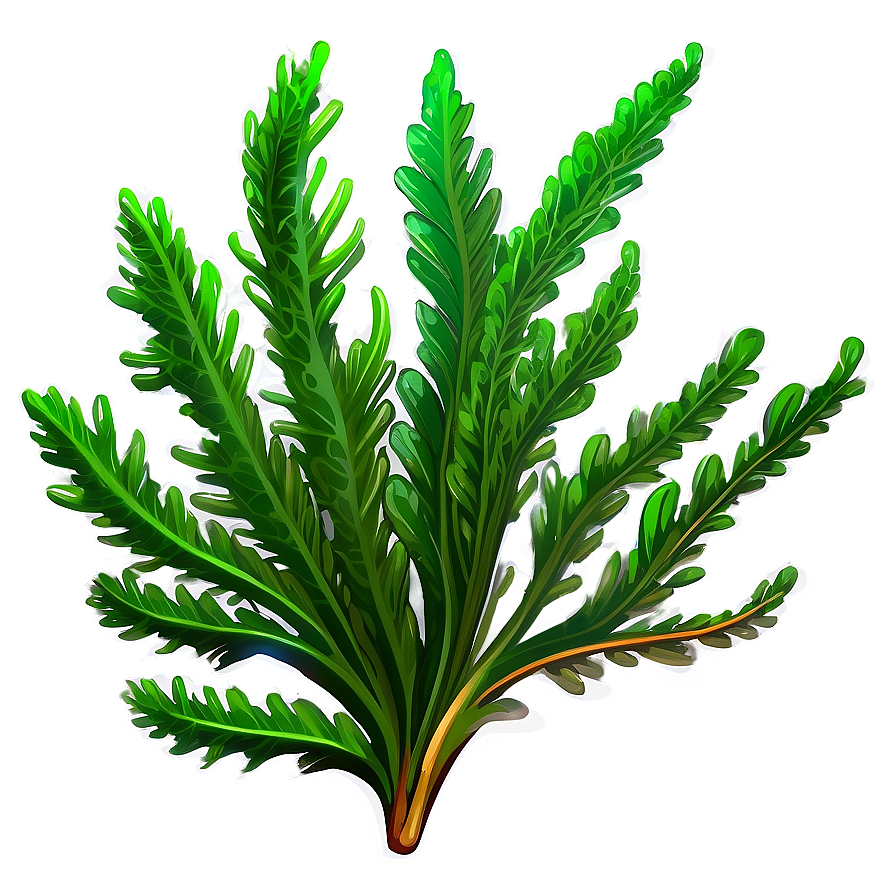 Green Seaweed Illustration Png Hug19 PNG image