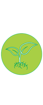 Green Sprout Icon PNG image