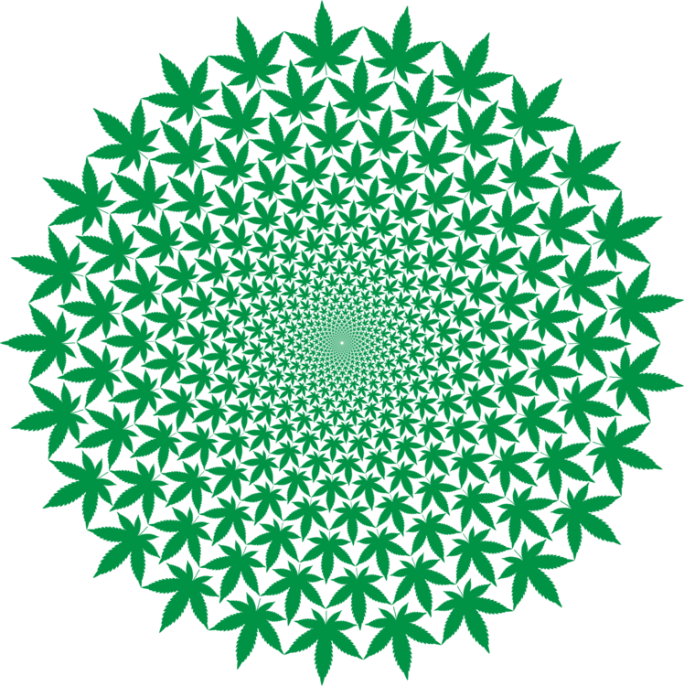 Green Starburst Pattern PNG image