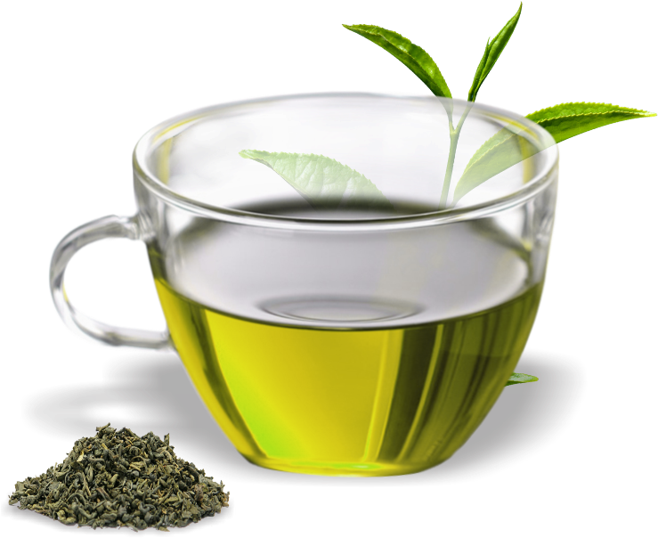 Green Tea Cupand Leaves.png PNG image