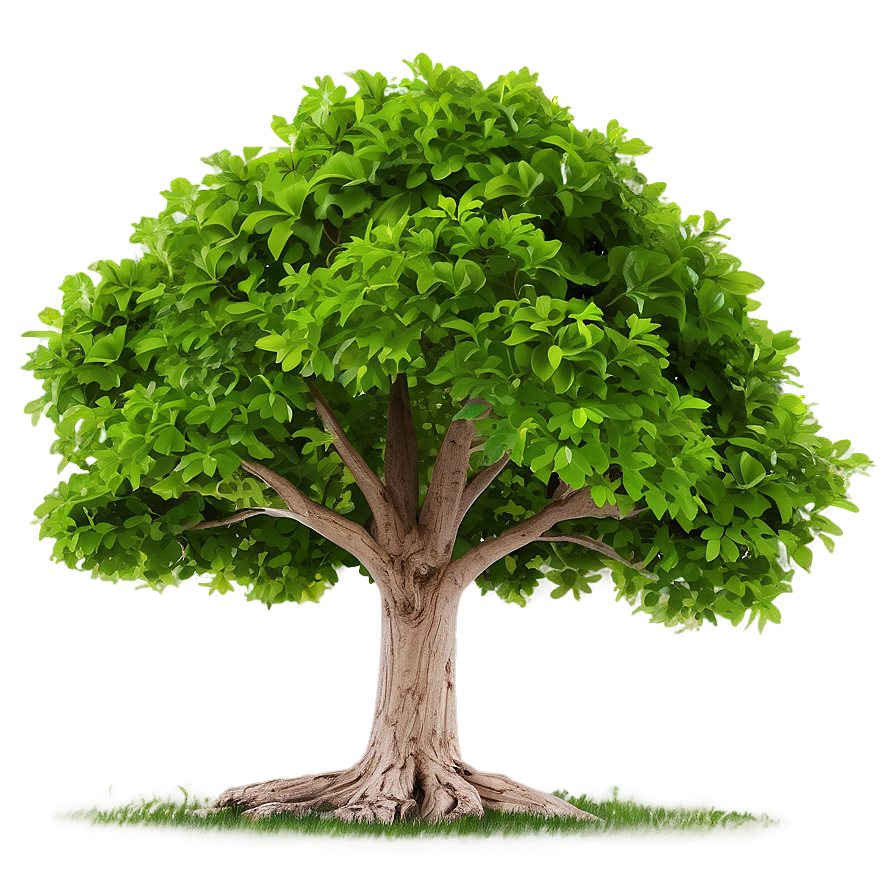 Green Tree Line Png 06292024 PNG image