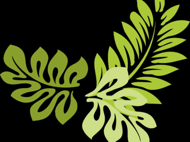 Green Tropical Leaves Graphic PNG image