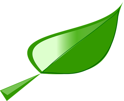 Green Vector Leaf Illustration PNG image